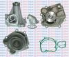 AQUAPLUS 85-6955 Water Pump